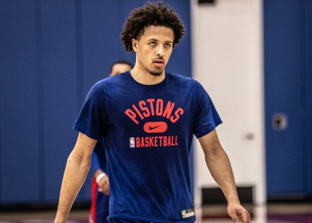 提及的例子 提及的例子