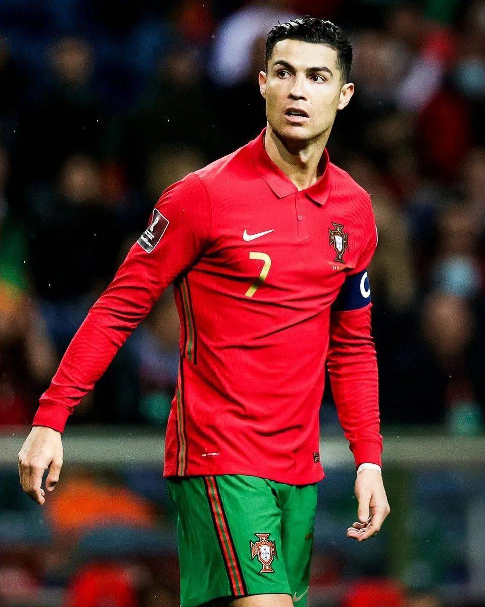 这不仅展现 这不仅展现