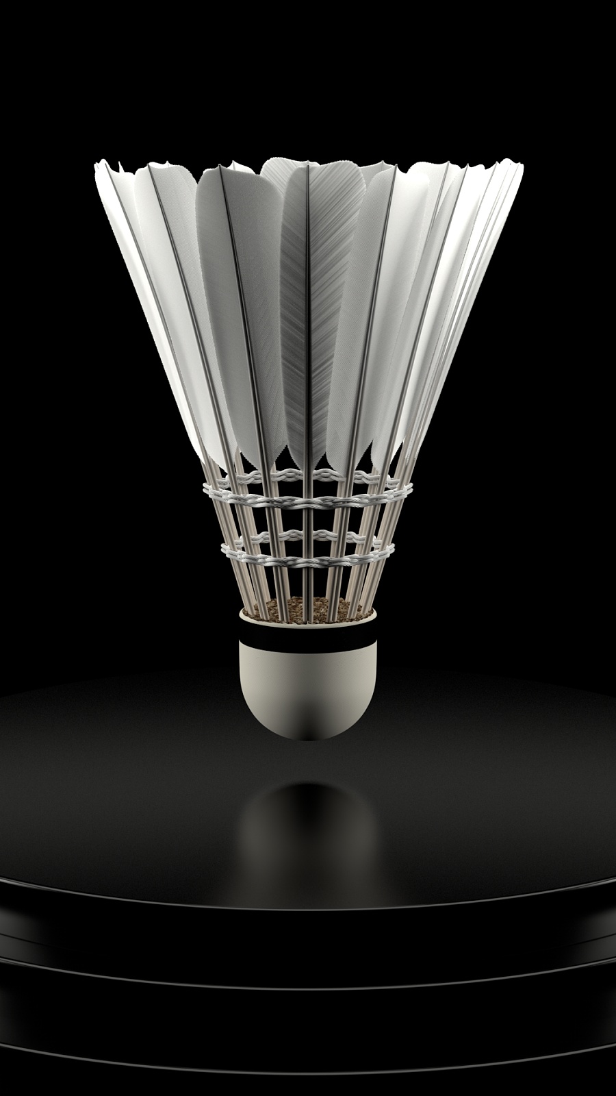 网球界的 网球界的