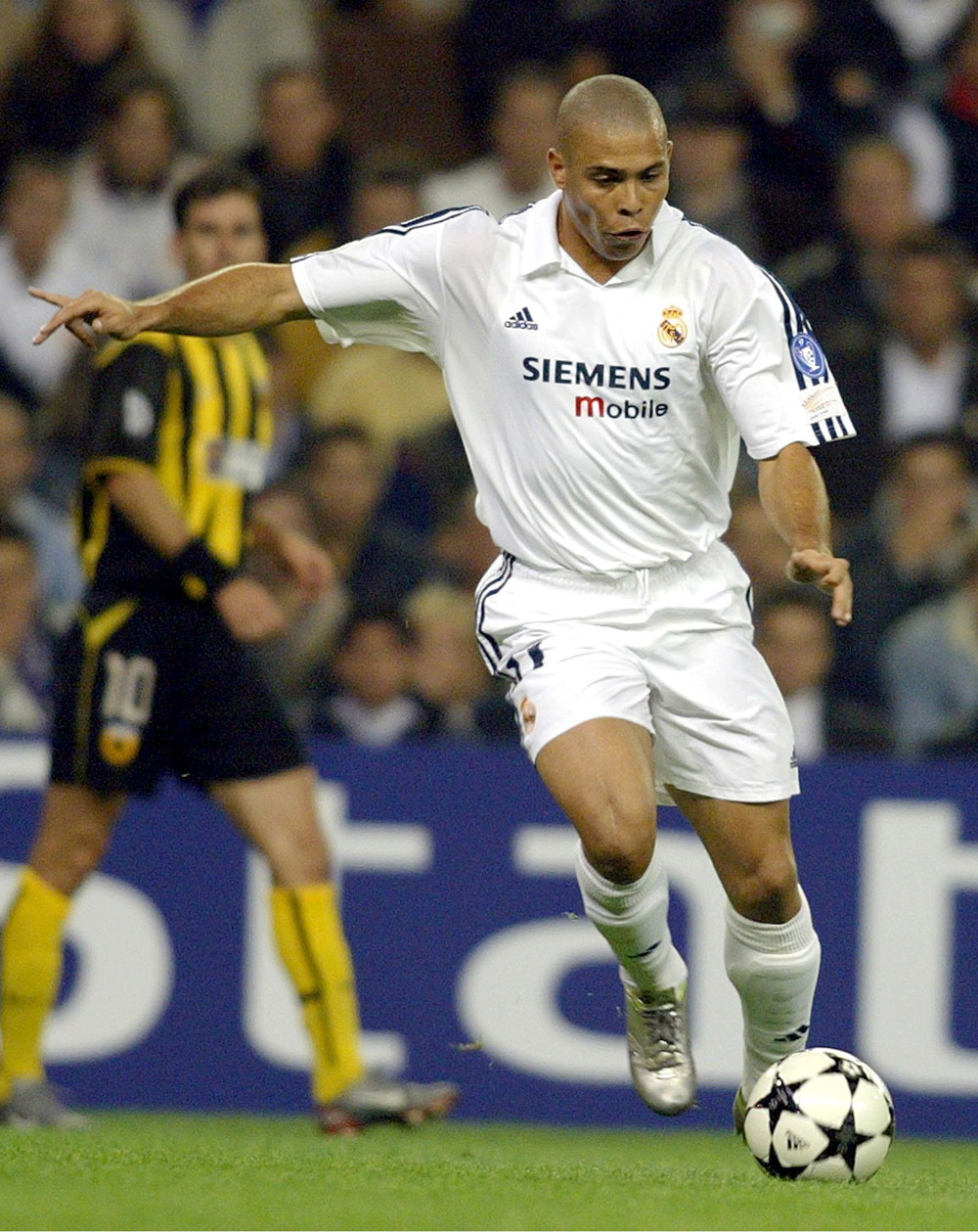 天间完成皮 天间完成皮